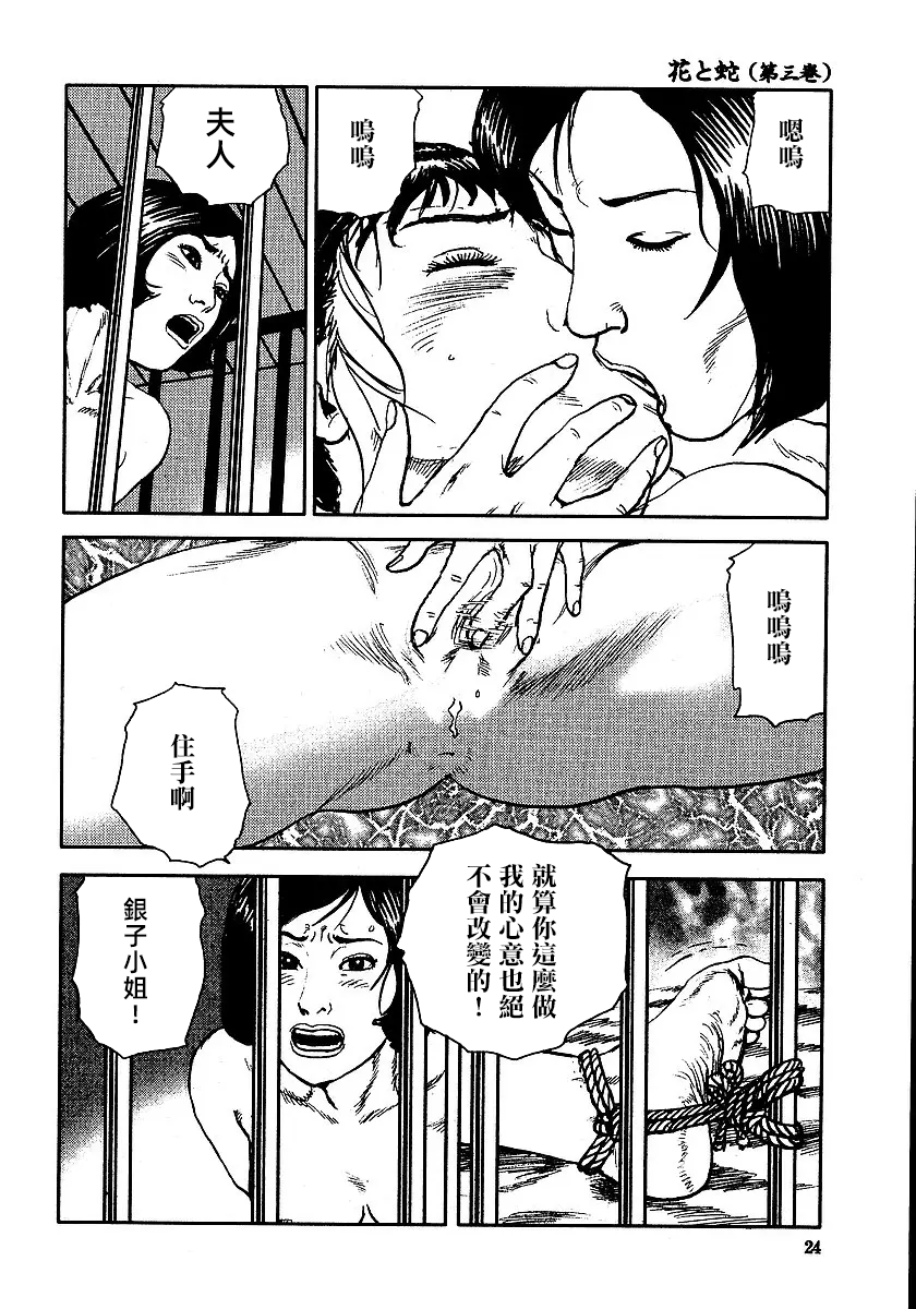 [長田要x団鬼六]花と蛇 第三集[大祭司汉化] - Page 30
