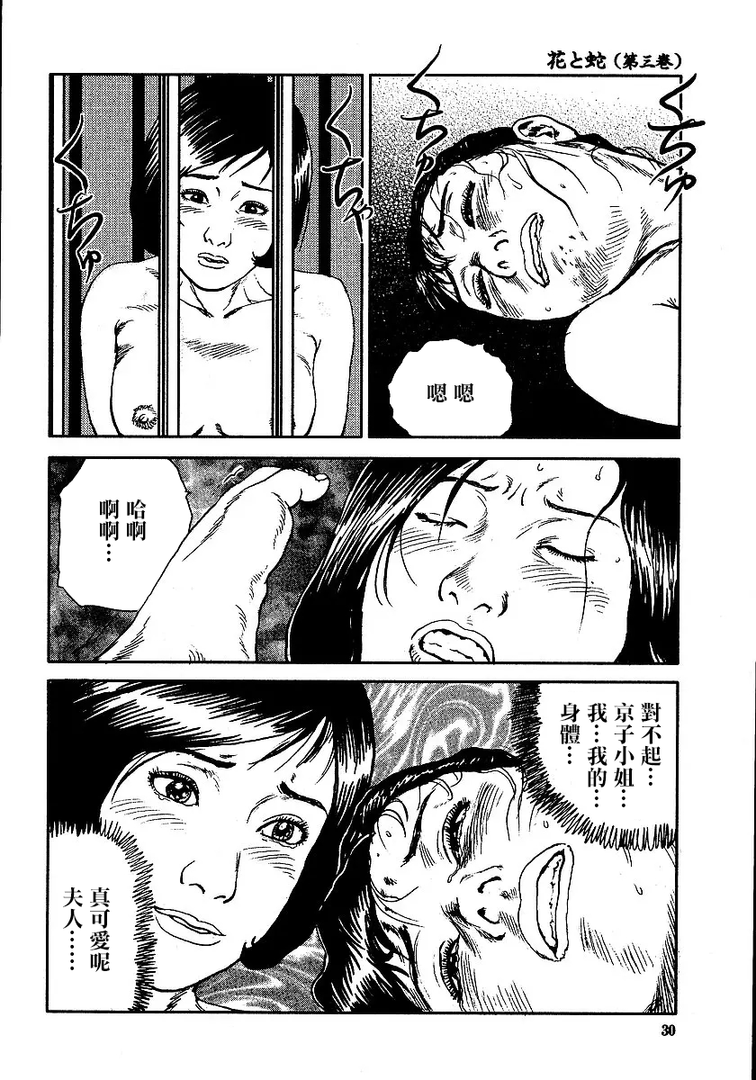 [長田要x団鬼六]花と蛇 第三集[大祭司汉化] - Page 36