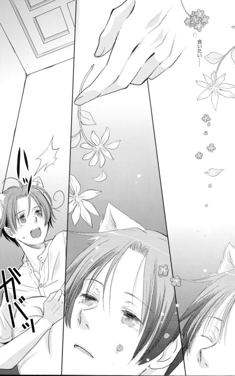 [Konoyonohatedetsumugareru (Matthew Mallow)] Volevo un gattop nero (Axis Powers Hetalia) - Page 9