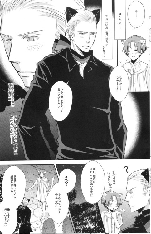 [Konoyonohatedetsumugareru (Matthew Mallow)] Volevo un gattop nero (Axis Powers Hetalia) - Page 11