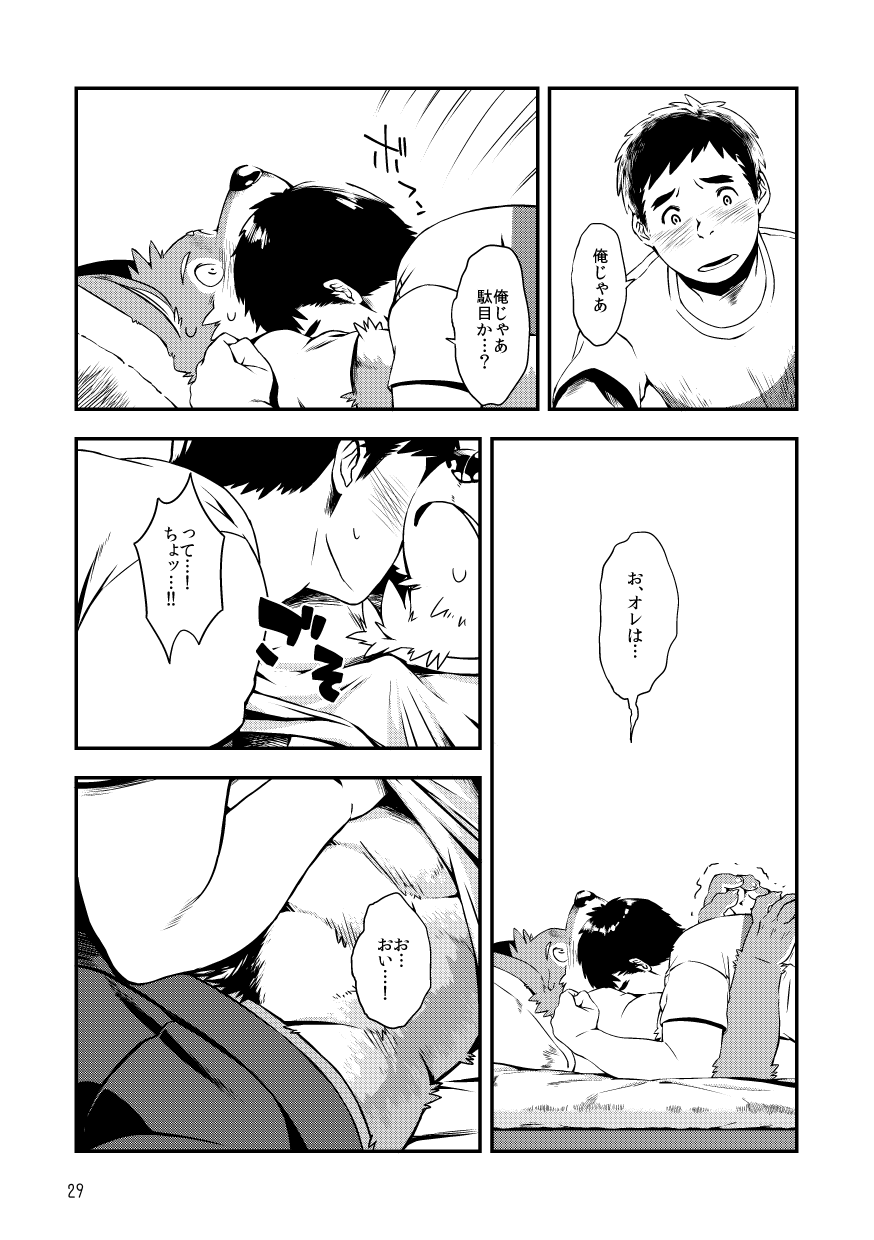 (けもケット8) [飛べない鳥 (よろず)] INTERRACIAL [DL版] - Page 29