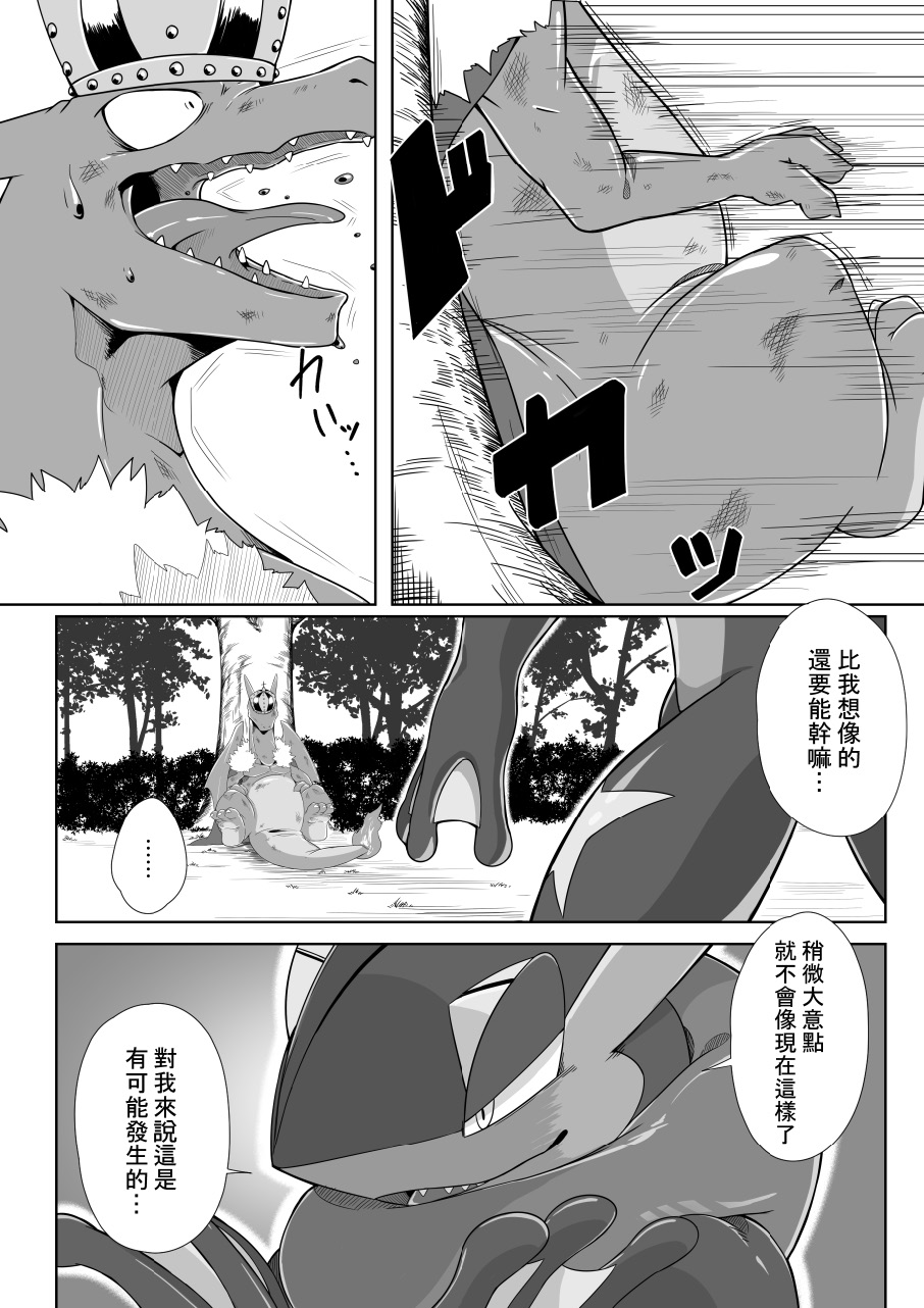 [Kikunyi,uMe] 王子與盜賊 (Pokémon) [Chinese] - Page 13