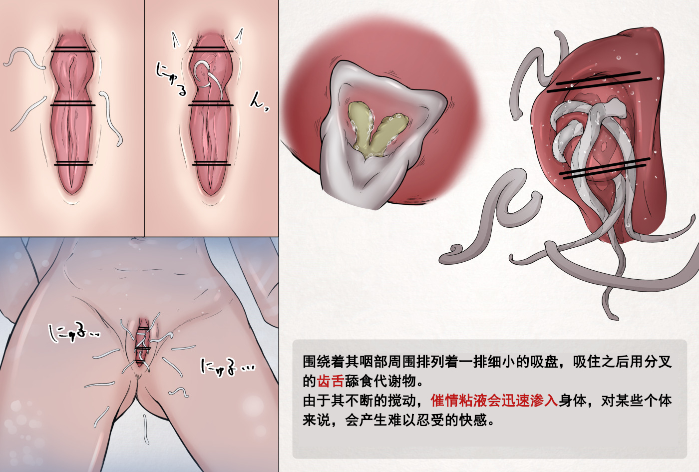 蟲研究レポートEX_No.01-13 [Chinese] [孤独的蛇个人汉化] - Page 34