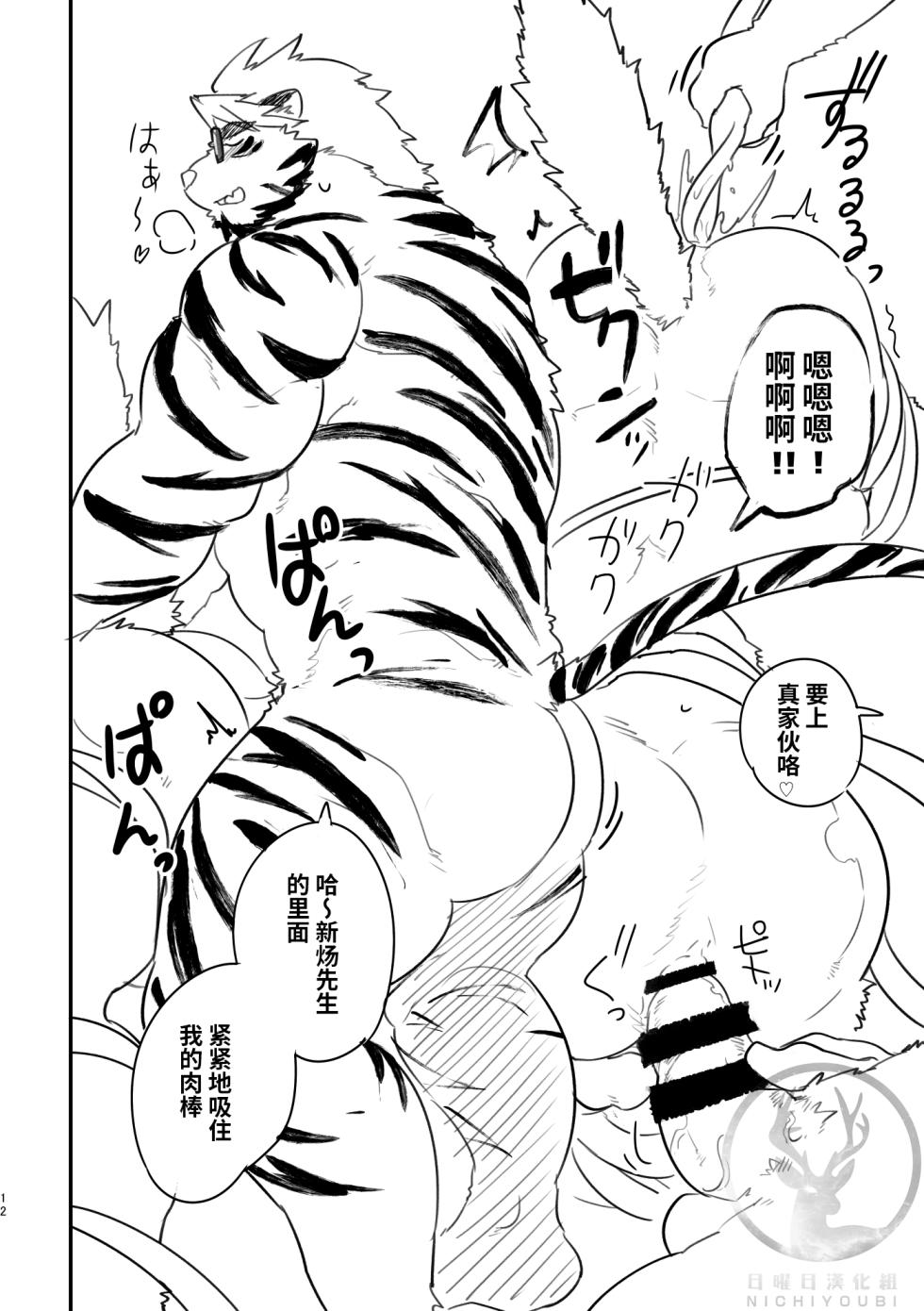 (Kemoket 8) [Studio Higemori (Higemorigen)] 神秘国日常记录 [Chinese] - Page 11
