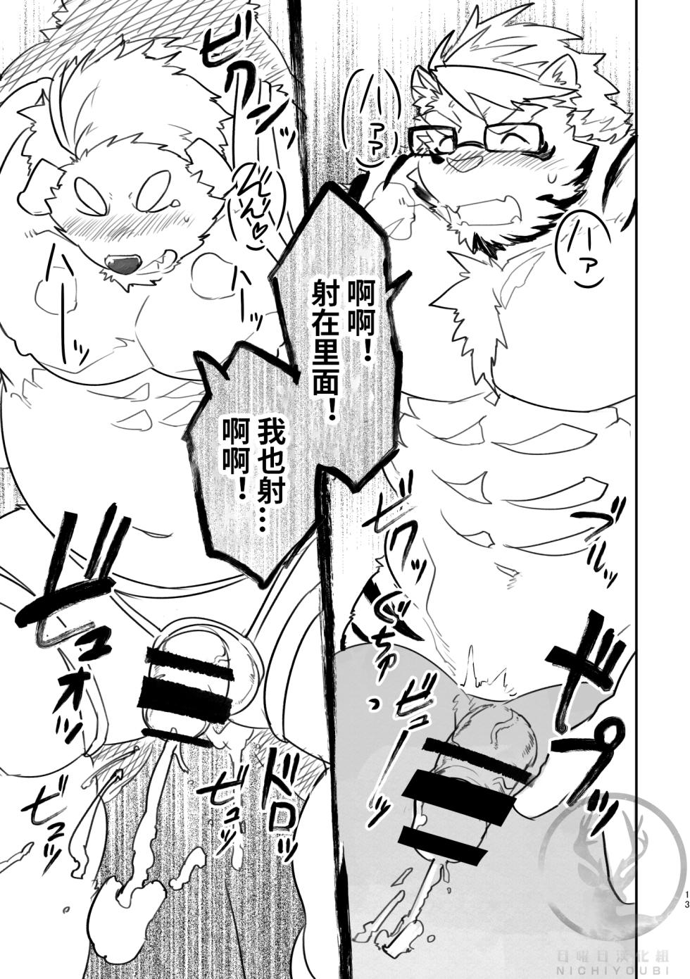 (Kemoket 8) [Studio Higemori (Higemorigen)] 神秘国日常记录 [Chinese] - Page 12