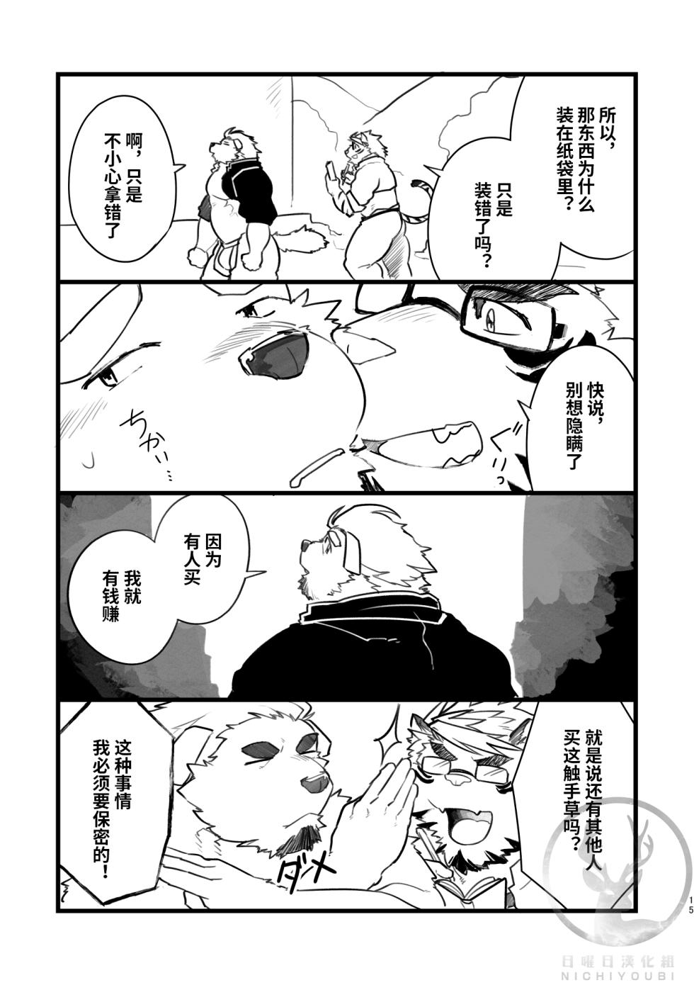 (Kemoket 8) [Studio Higemori (Higemorigen)] 神秘国日常记录 [Chinese] - Page 14