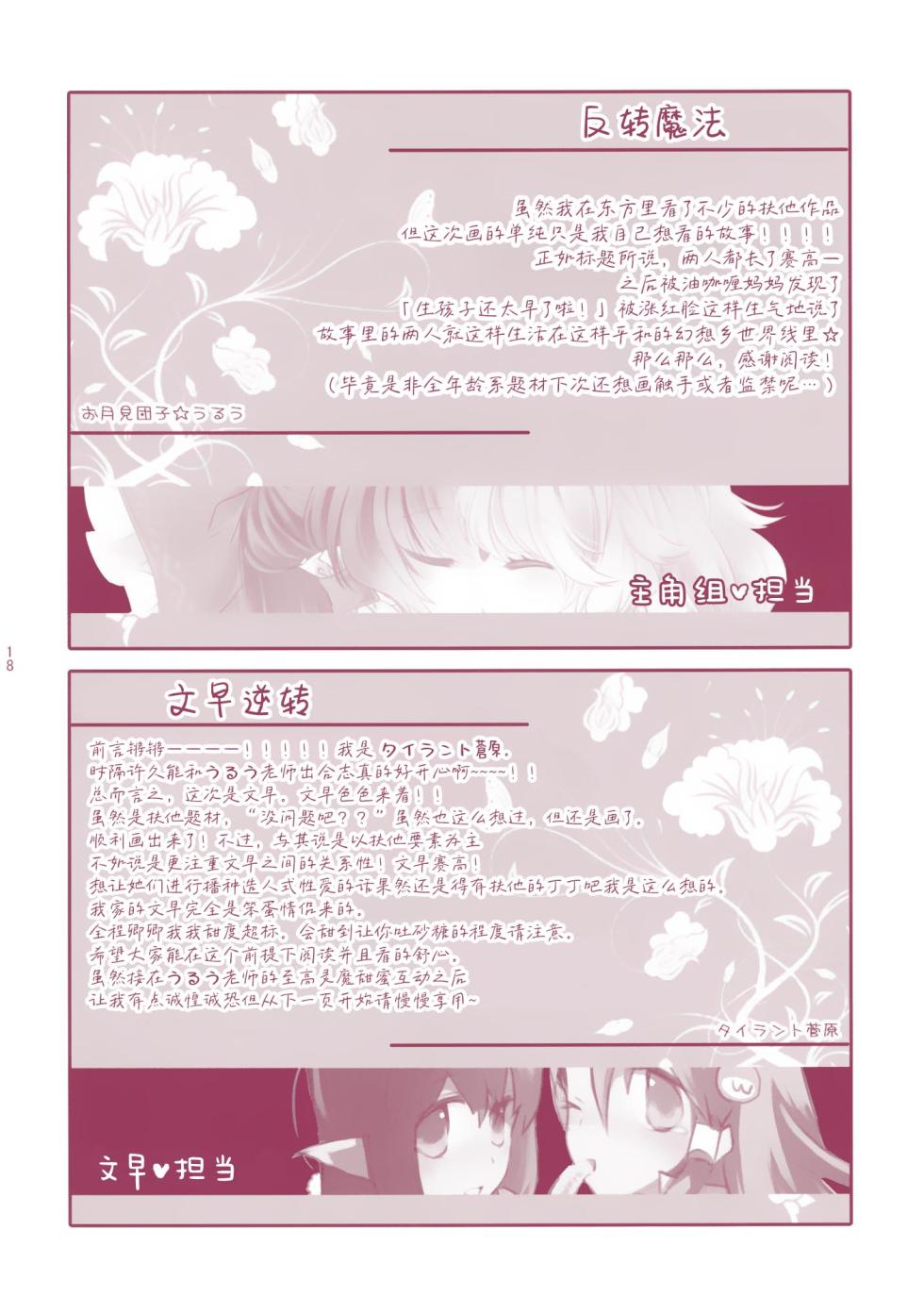 (Reitaisai 13) [Otukimidango, Uhii (Uruu, Tyrant Sugawara)] Kiseki to Mahou no Reversible! (Touhou Project)[Chinese]【茶与金平糖汉化组】 - Page 18