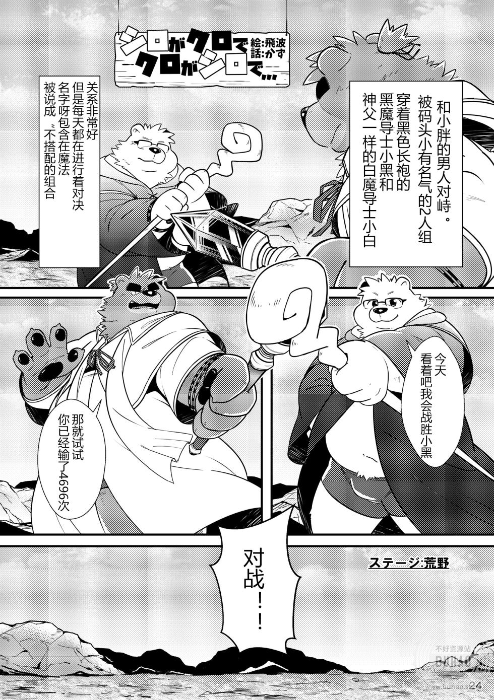 (Kansai Kemoket 5) [Ryuusei Potechi (Various)] 小白与小黑如果的话 [Chinese] - Page 26