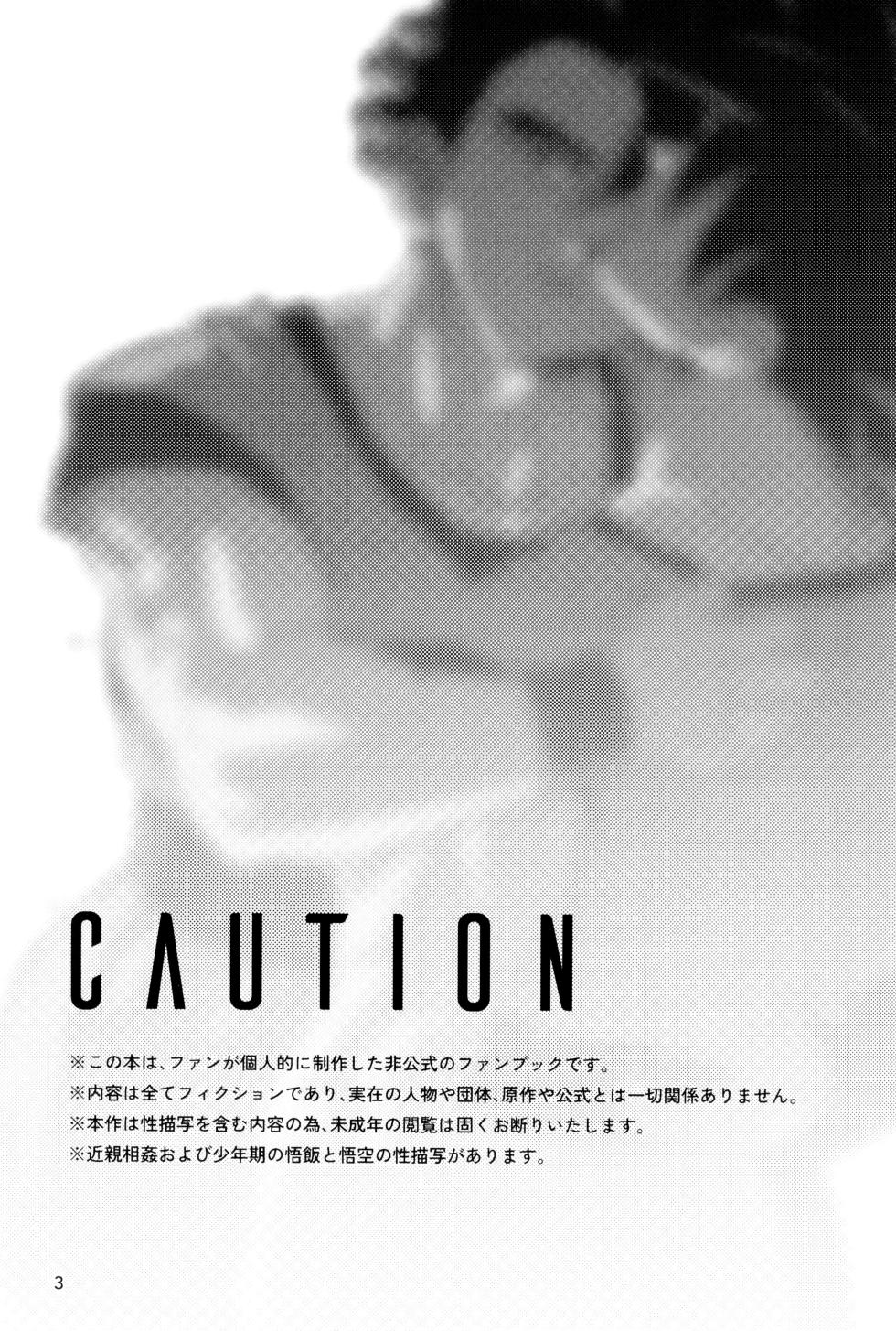 [J&B (nano)] Mi kanzenna bokura (Dragon Ball Z) - Page 5