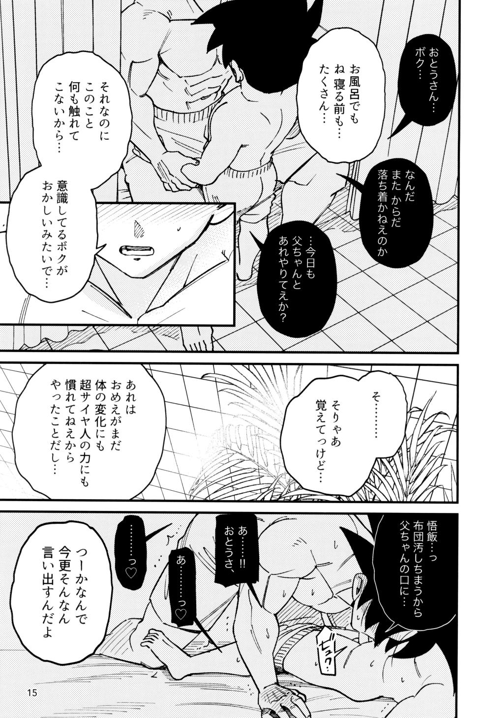 [J&B (nano)] Mi kanzenna bokura (Dragon Ball Z) - Page 17