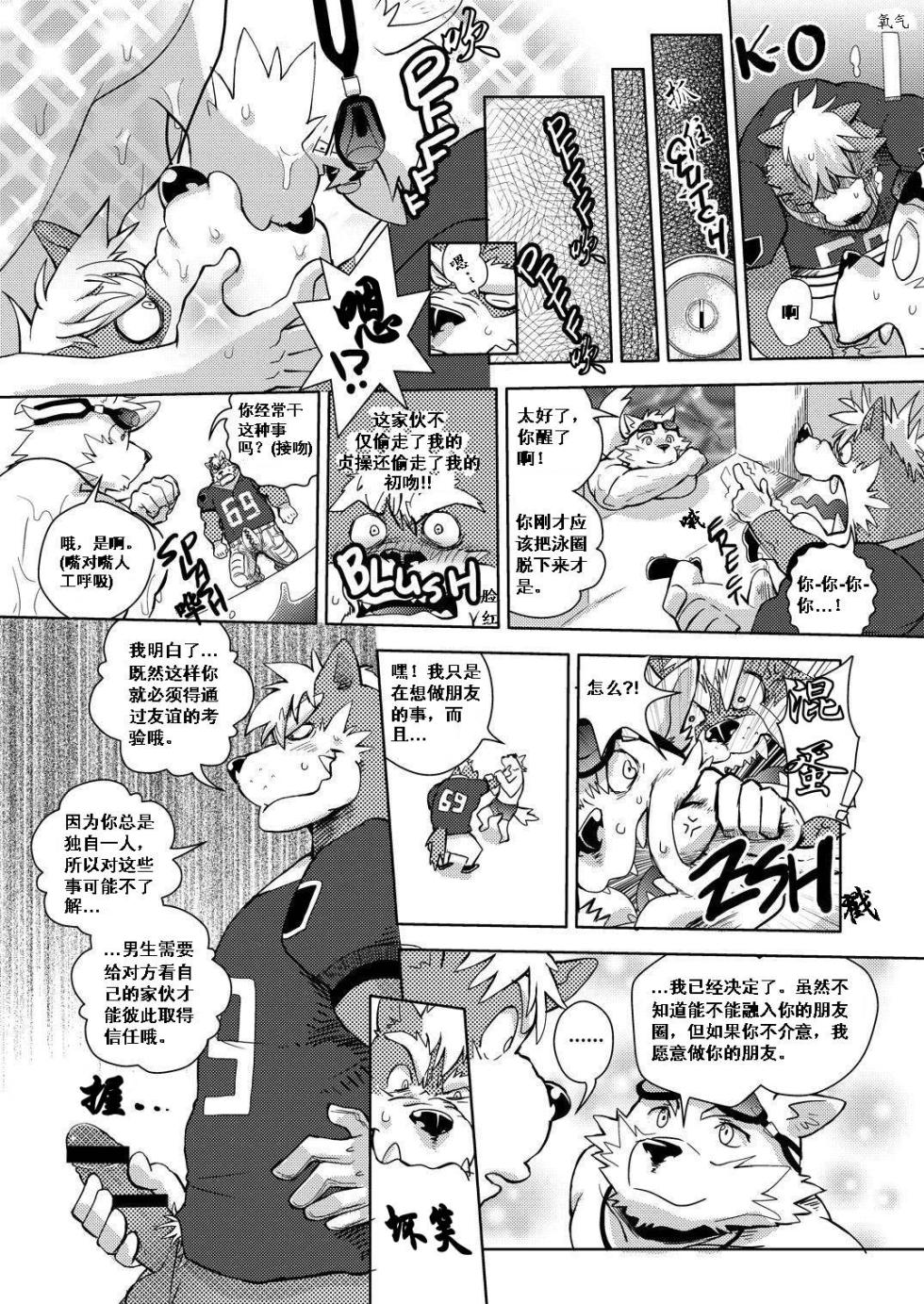 (C79) [Cheshire] 心之壁垒 [Chinese] - Page 10