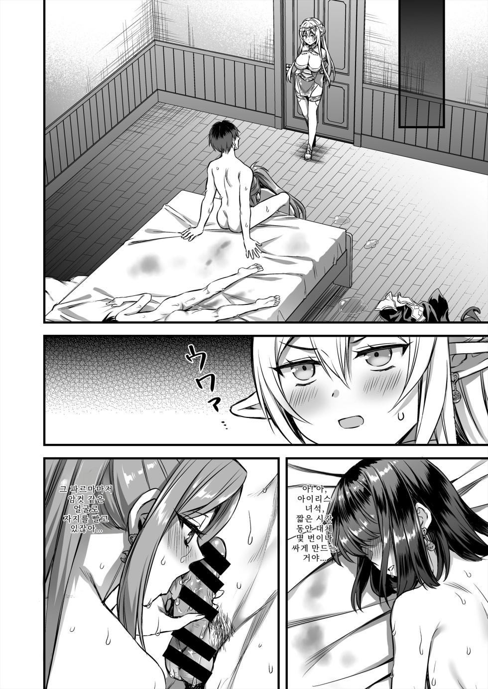 [Aigamodou (Ayakawa Riku)] Isekai Elf Hatsujou no Magan 10 ~Party Netori Hen~ [Korean] - Page 33