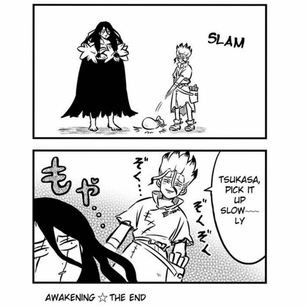 [ishikinchaku] TsukaSen Log (Dr.STONE) - Page 11