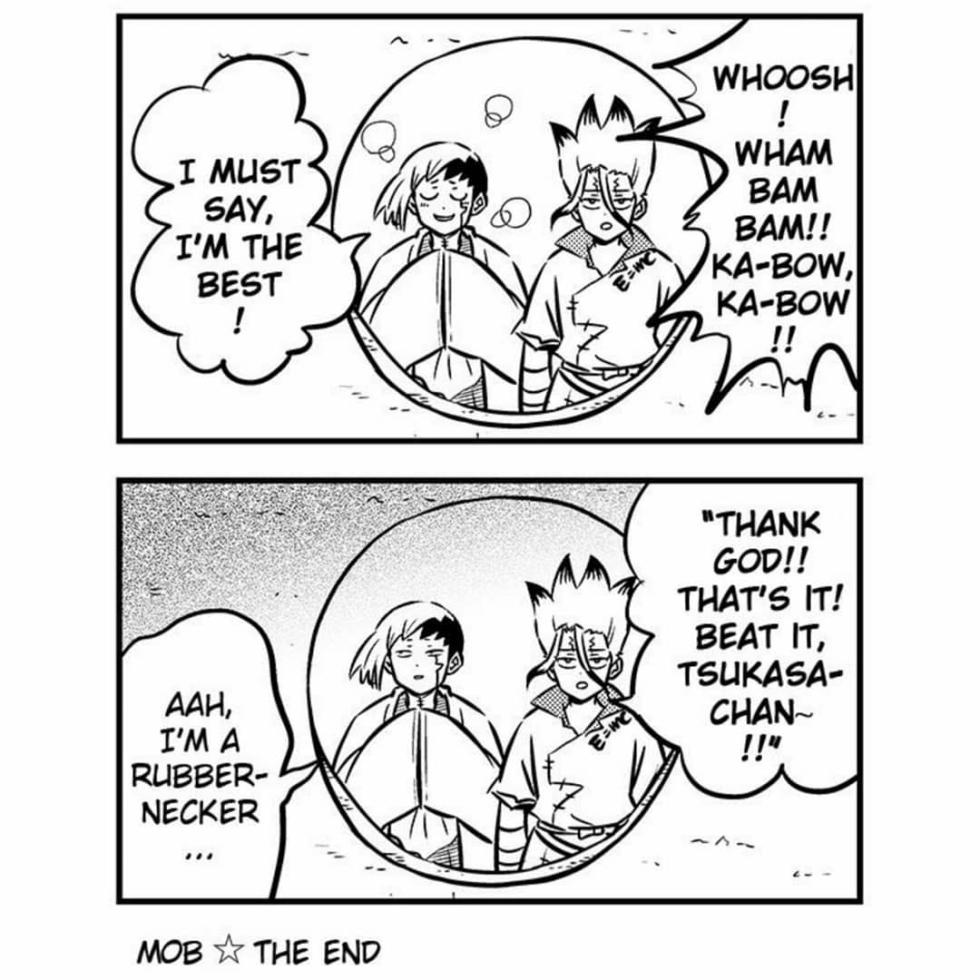 [ishikinchaku] TsukaSen Log (Dr.STONE) - Page 15