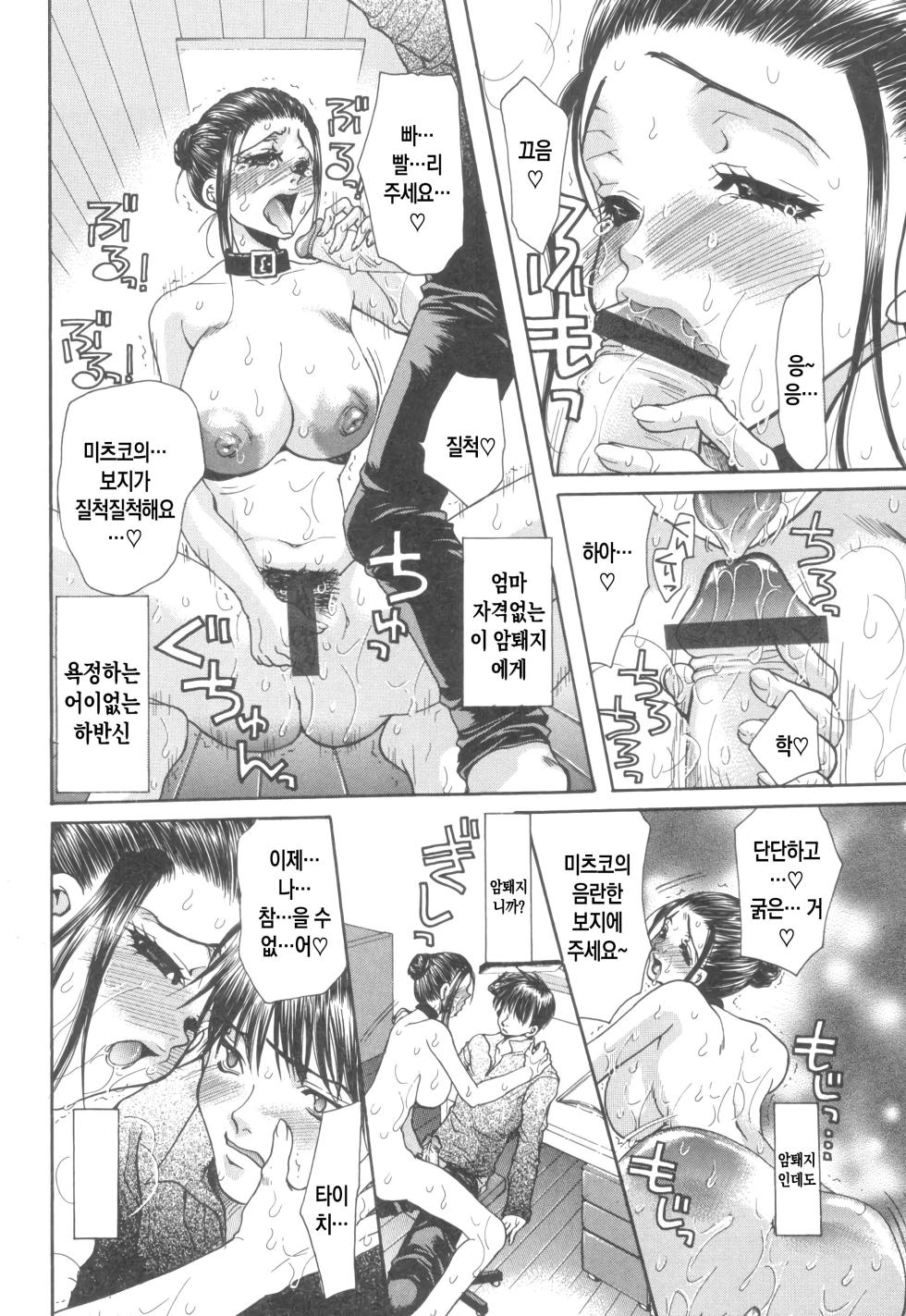 [Anthology] Kinbo Inkan XI | 금모음간 11 [Korean][팀 숙녀] - Page 31