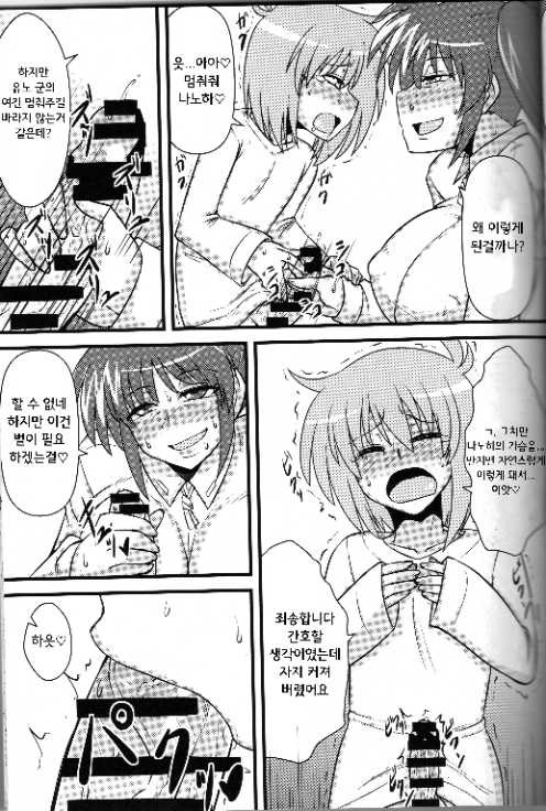 [Shonnaka-dou (Mitsurugi Tsurugi)] Choi Juku Nanoha | 존나 잘 익은 나노하 (Mahou Shoujo Lyrical Nanoha) [Korean] - Page 14