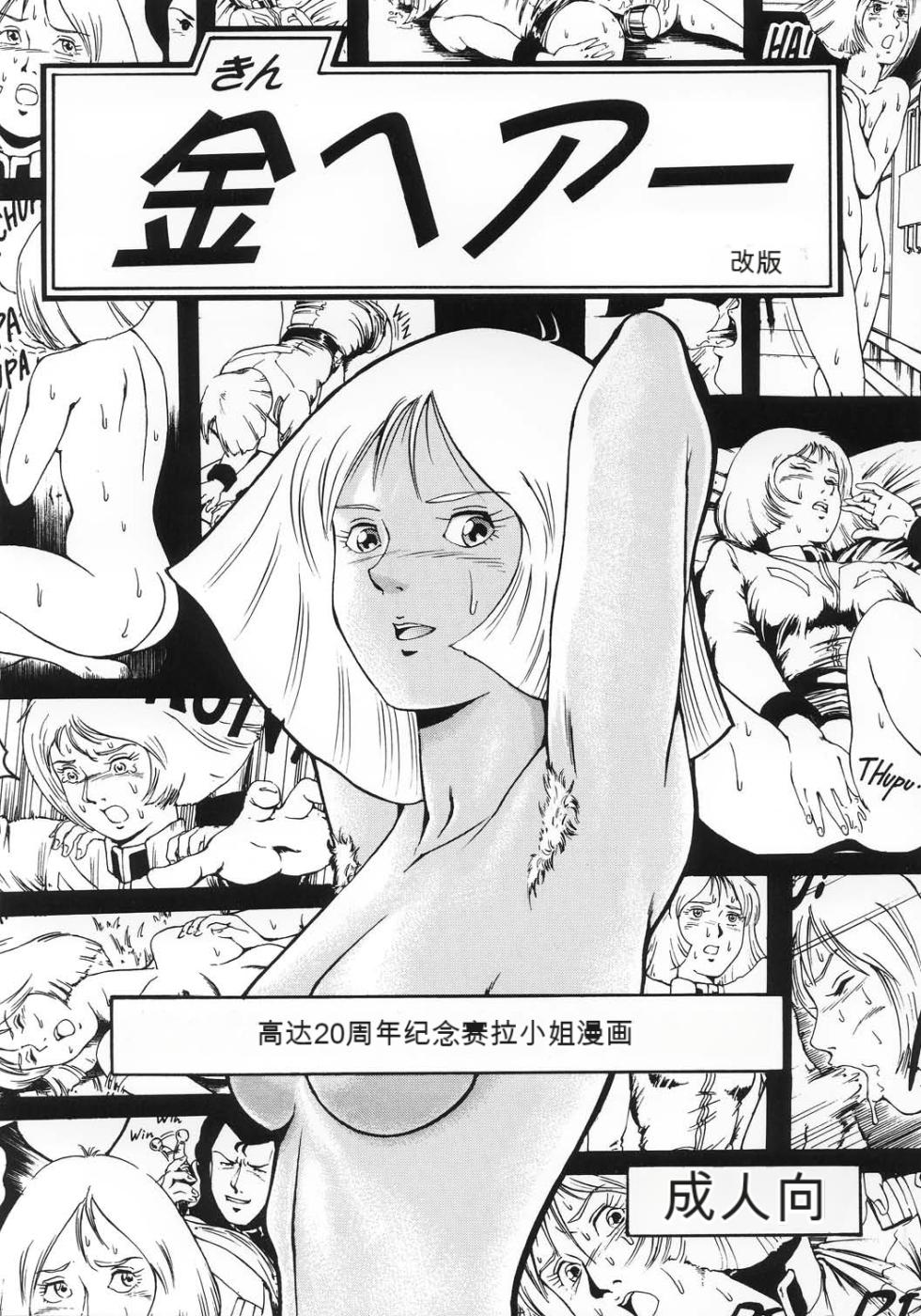 [Skirt Tsuki (keso)] Kin Hair kaitei ban (Mobile Suit Gundam)(机器翻译) - Page 1