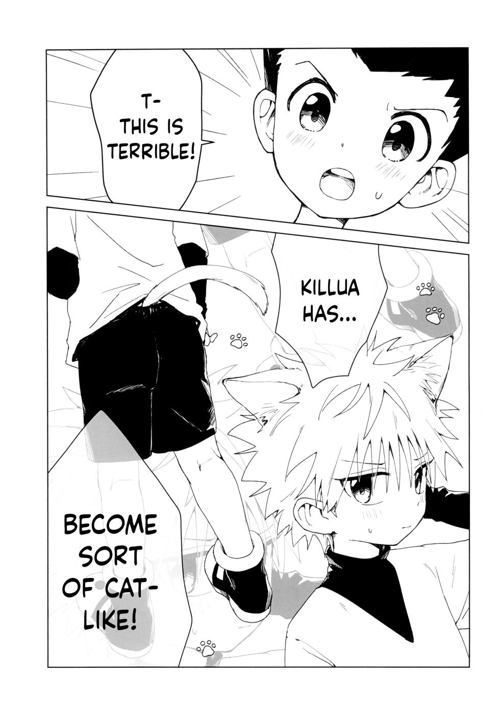 (HaruCC32) [Penguin Obake (Hane)] Amakuchi Neko Heart | Sweet kitty heart (Hunter x Hunter) [English] {Chin²} - Page 3