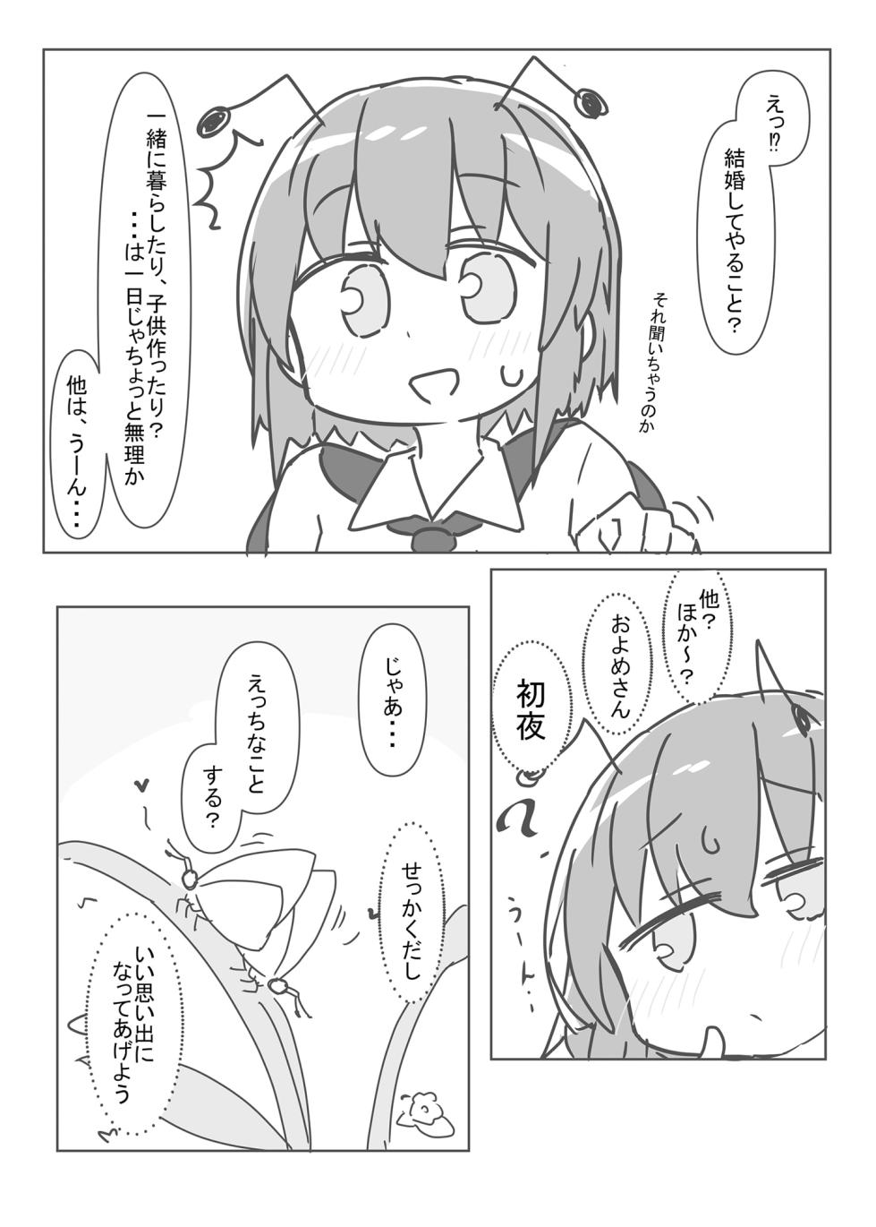 [Matsukitsune Iori (Matsukitsune)]Riguru to ecchi suru hon (Touhou Project) [Digital] - Page 5
