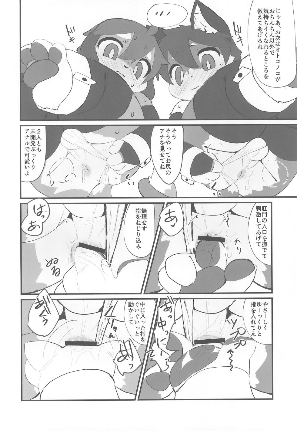 (Kansai Kemoket 11) [Briefcase (Rainichi)] Hajimete tte Kikimashita yo? - Page 12