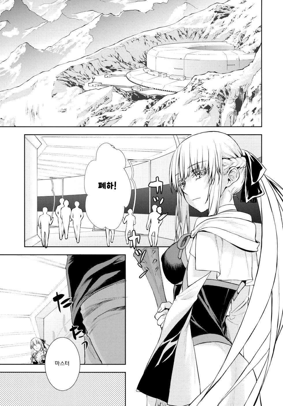 (C101) [Penpengusa Club (Katase Minami)] Joouheika no Seiteki Shinan (Fate/Grand Order) [Korean] - Page 3