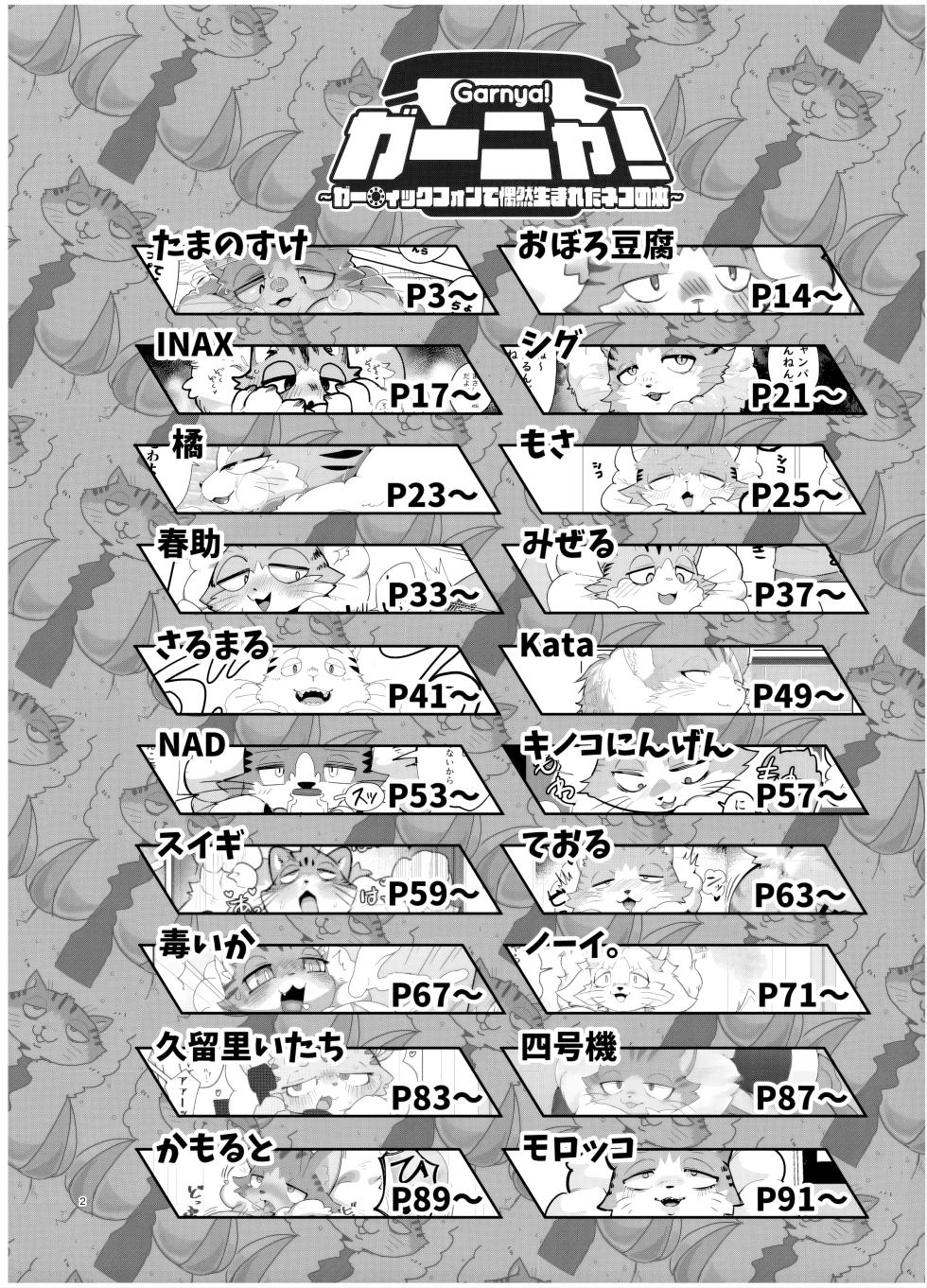 [Tamanokoshi (Various)] Gartic Phone de Guuzen Umareta Neko no Hon Ryaku shite Ganya Hon [差不多行了AI翻译] - Page 3
