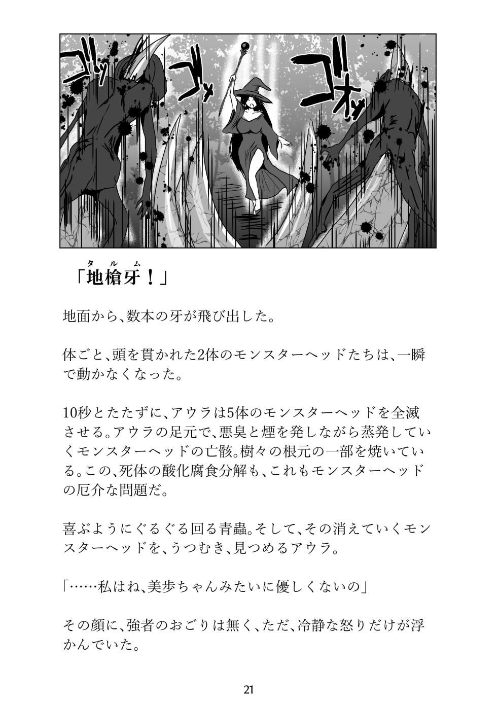 [Erotic Fantasy Larvaturs (Takaishi Fuu)] Larvaturs Kaze no kaeru tokoro - Page 21