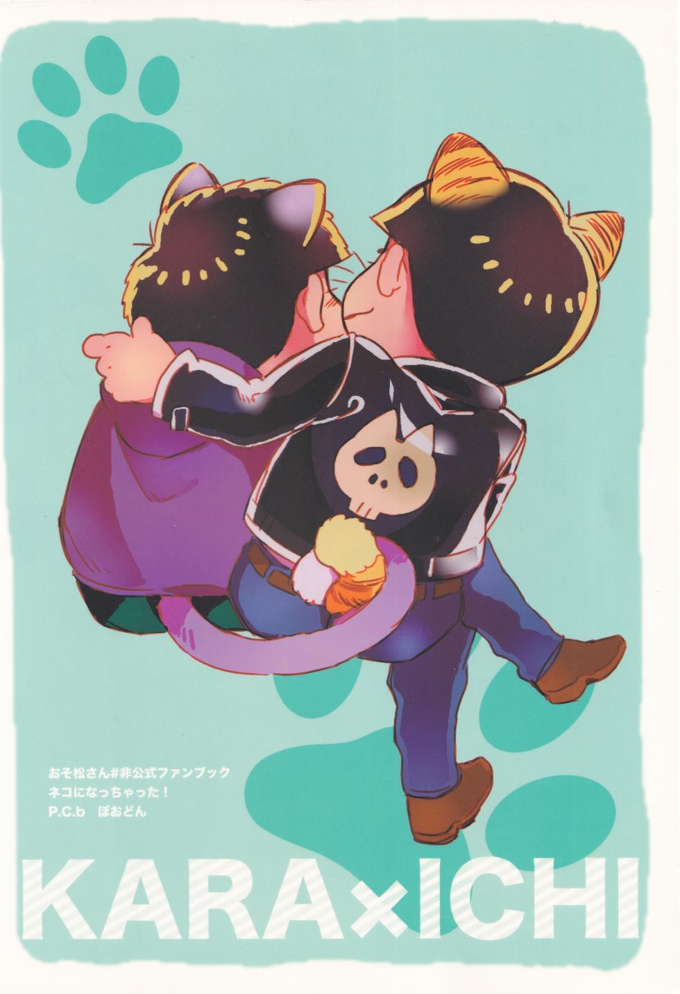 [P.C.b (Boodon)] I turned into a cat! (Osomatsu-san) - Page 30