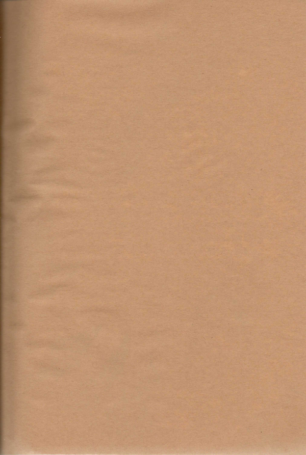 [2HB (KINTA)] Oyabun no Erohon 3 (Hetalia Axis Powers) - Page 3