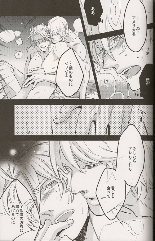 [MICROMACRO (Yamada Sakurako)] Regalia (Hetalia Axis Powers) - Page 25