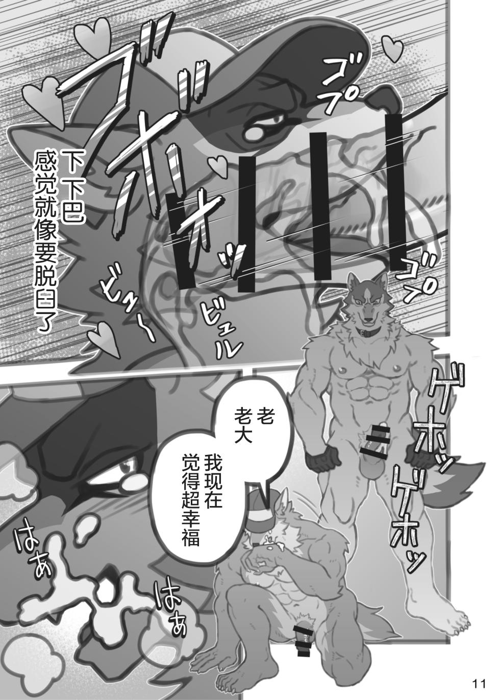(Kansai Kemoket 11) [Sakufutei (Saku)] 老大与我 (BNA: Brand New Animal) [Chinese] [酥米饼个人汉化] [Digital] - Page 10