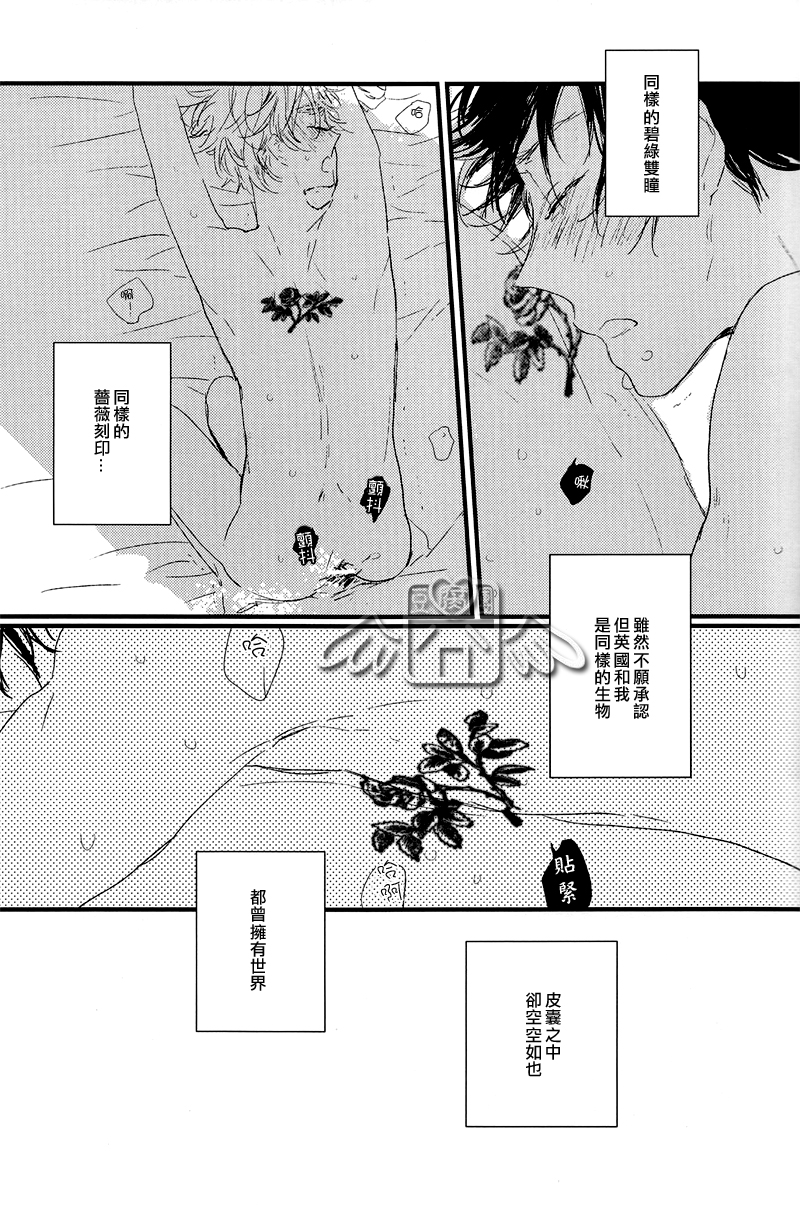 [Rainy (Amemori Gigi)] VILLANS (Hetalia Axis Powers) [Chinese] - Page 22