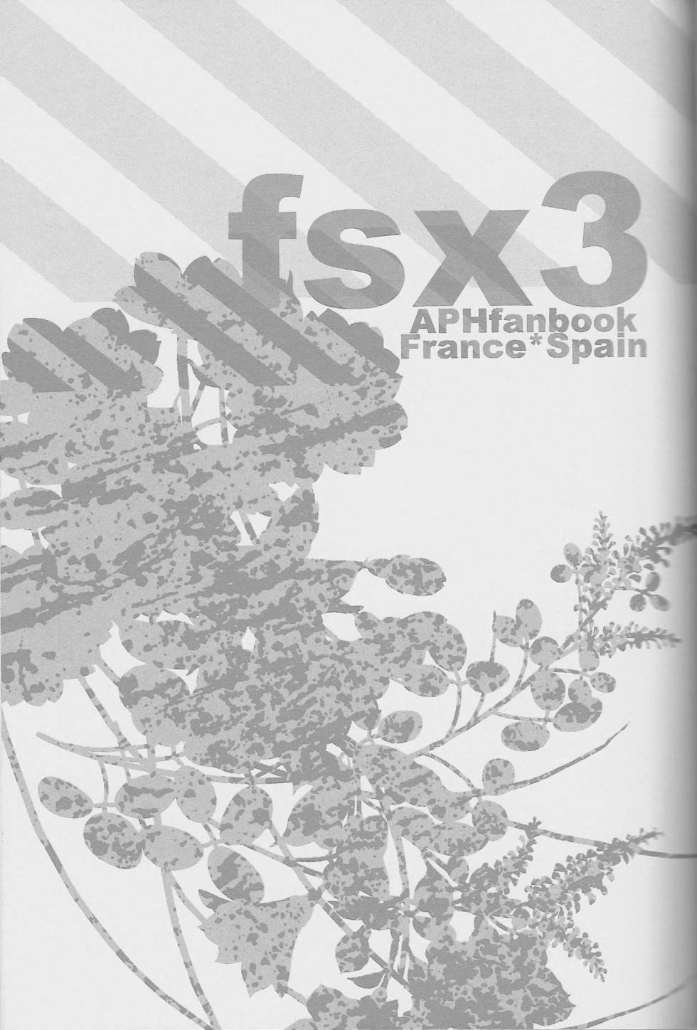 [MICROMACRO (Yamada Sakurako)] fsx3 (Hetalia Axis Powers) - Page 4