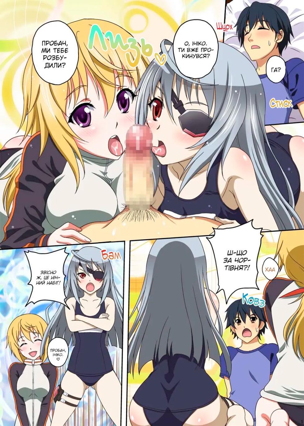(C80) [Studio Aruta (Kusui Aruta)] IS no Hon (Kari) | Книга IS (IS <Infinite Stratos>) [Ukrainian] [MakDesu] - Page 2