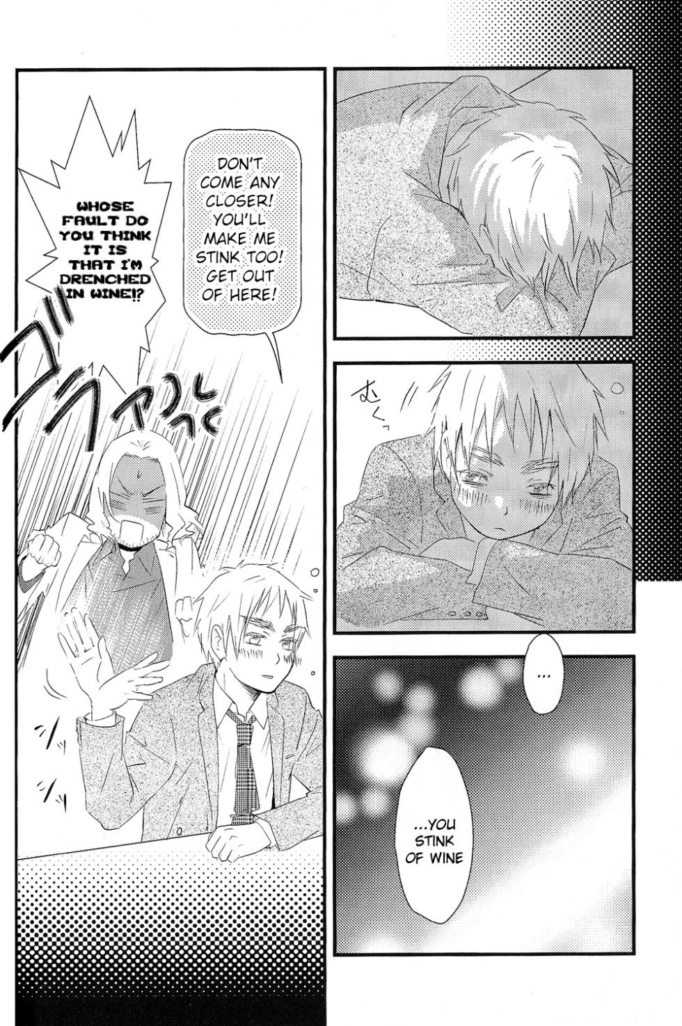 [ALMAGEST (Amii)] DAYS OF WINE AND BEER AND ROSES (Hetalia Axis Powers) [English] - Page 14