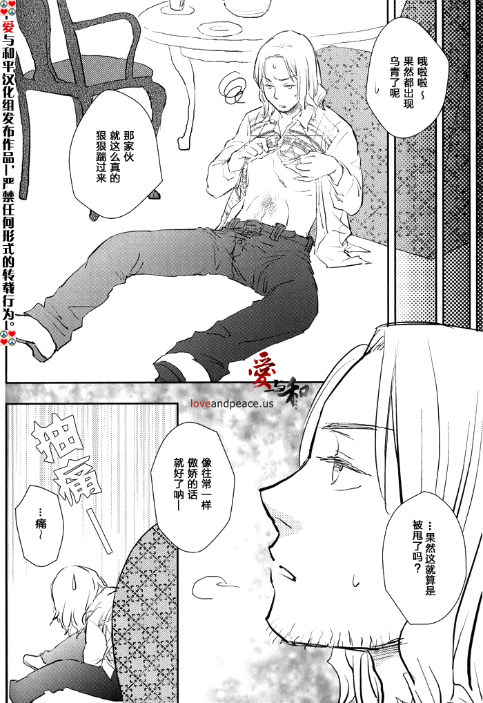 [ALMAGEST as Longway (Amii)] Fundamental (Hetalia Axis Powers) [Chinese] - Page 17