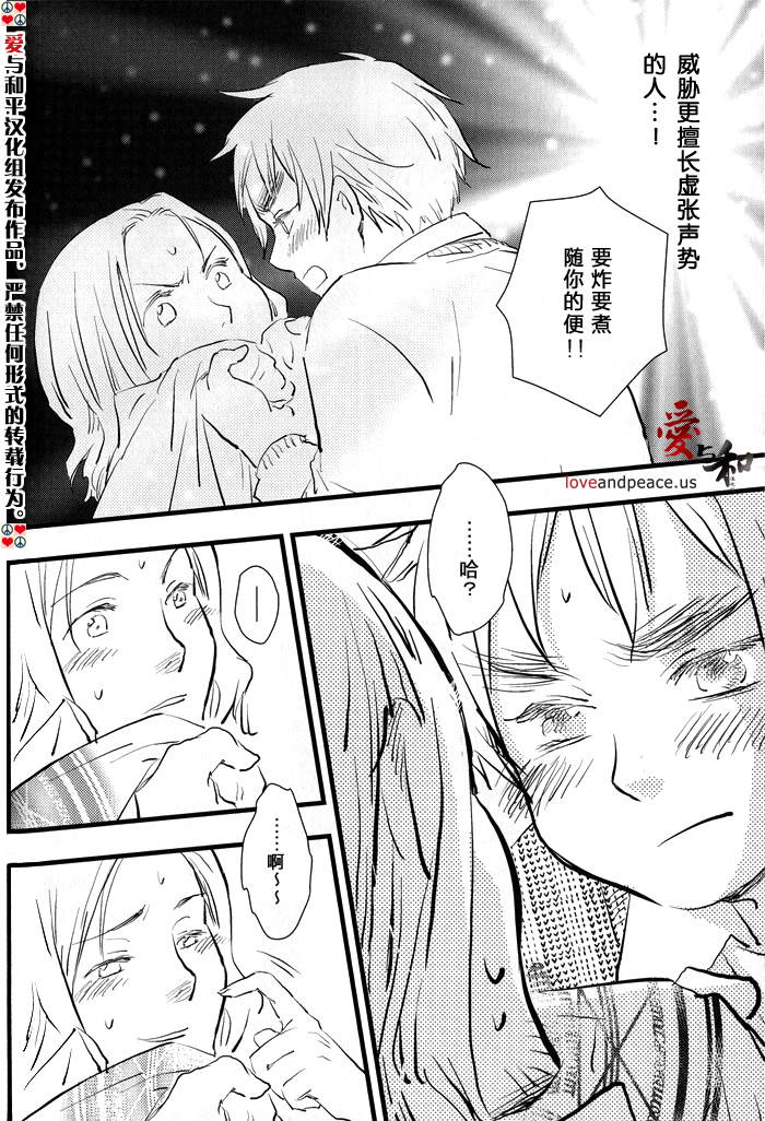 [ALMAGEST as Longway (Amii)] Fundamental (Hetalia Axis Powers) [Chinese] - Page 27