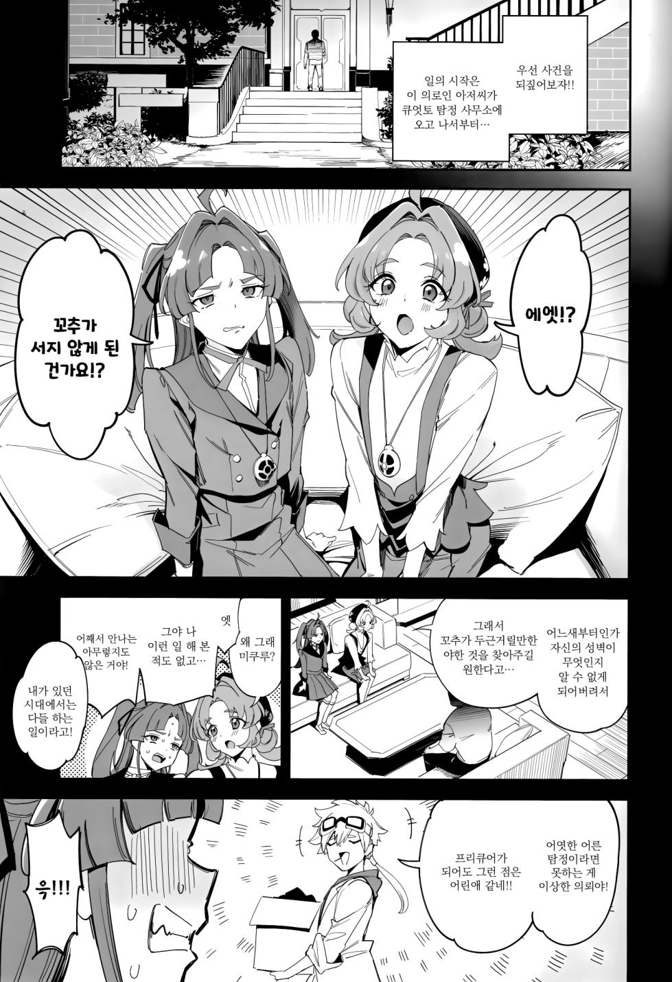 (COMIC1☆28) [Jukusei Kakuzatou (SugarBt)] Watashi-tachi no Answer nante Nakatta | 우리들의 앤서 따위는 없었다 (Meitantei Precure!) [Korean] - Page 4
