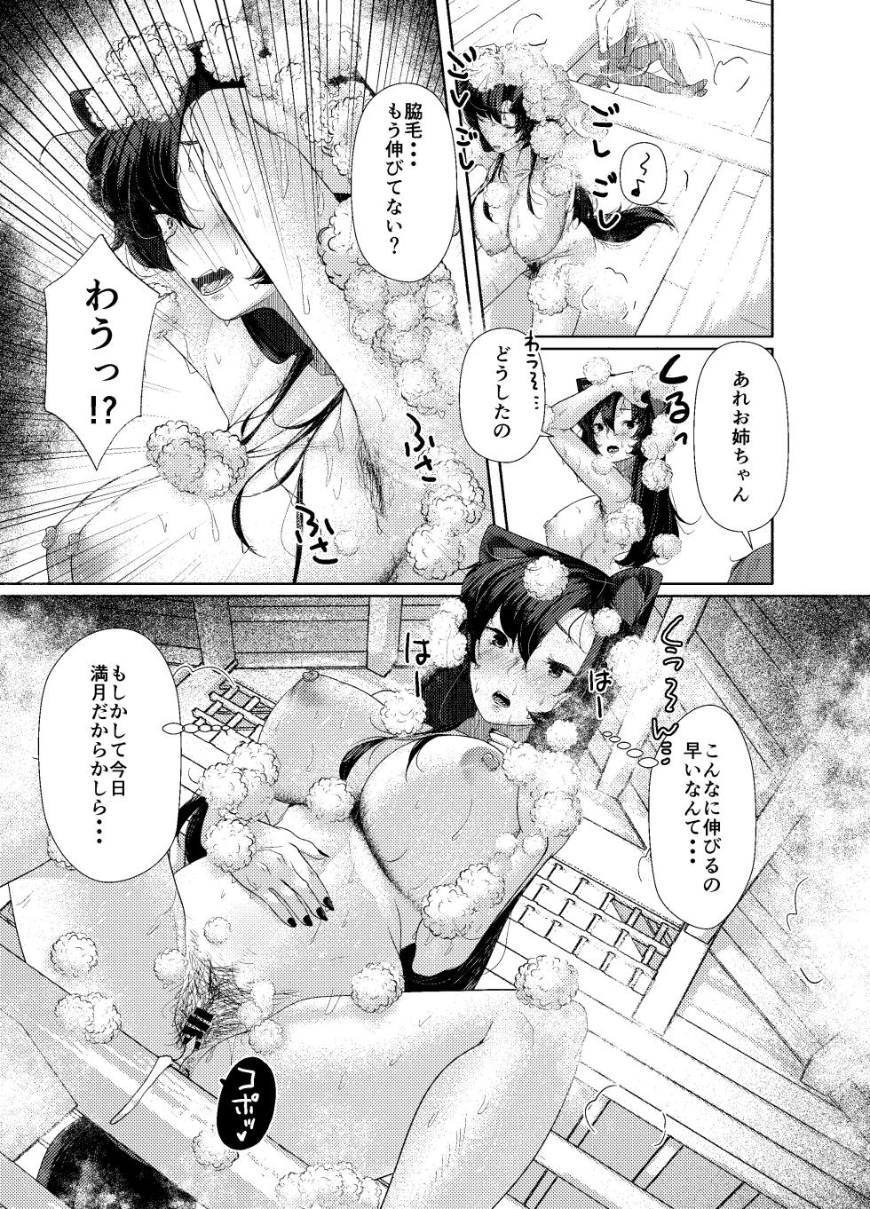 (Reitaisai 23) [ARIH (Hira Hira)] Inu no Onee-chan no Ranyoku (Touhou Project) [Digital] - Page 18