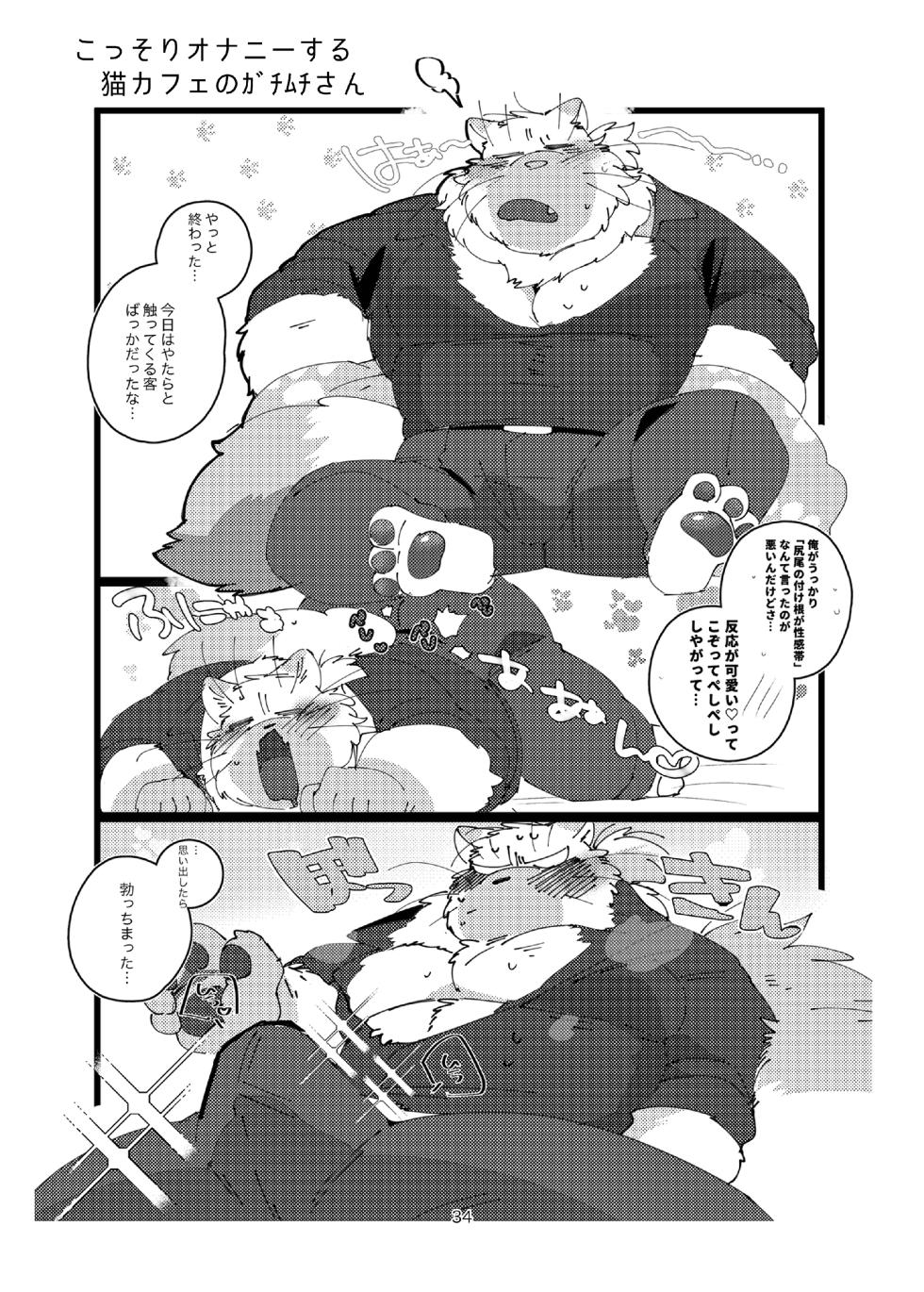 FANBOX COLLECTION Vol.3(DL) - Page 34