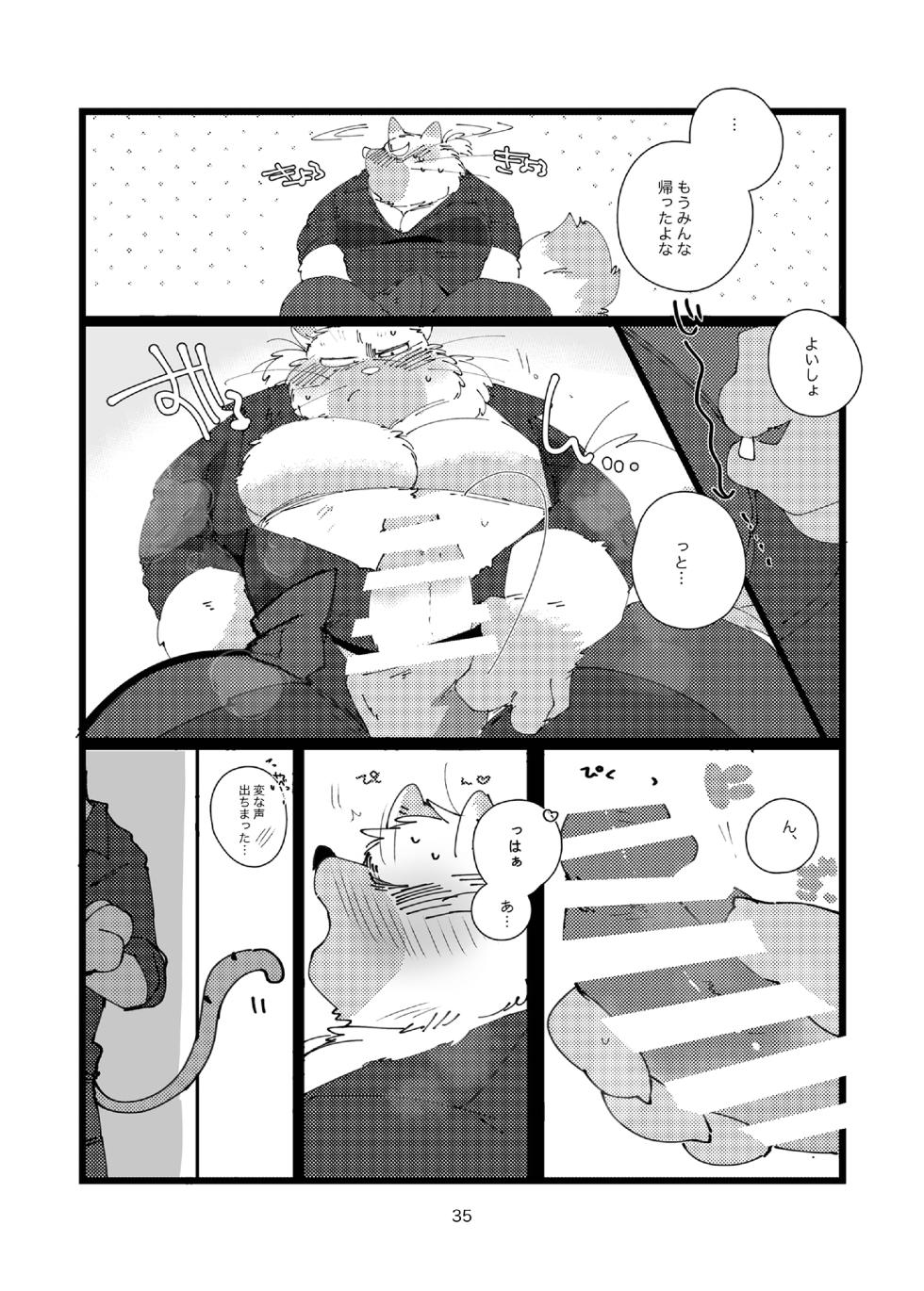 FANBOX COLLECTION Vol.3(DL) - Page 35