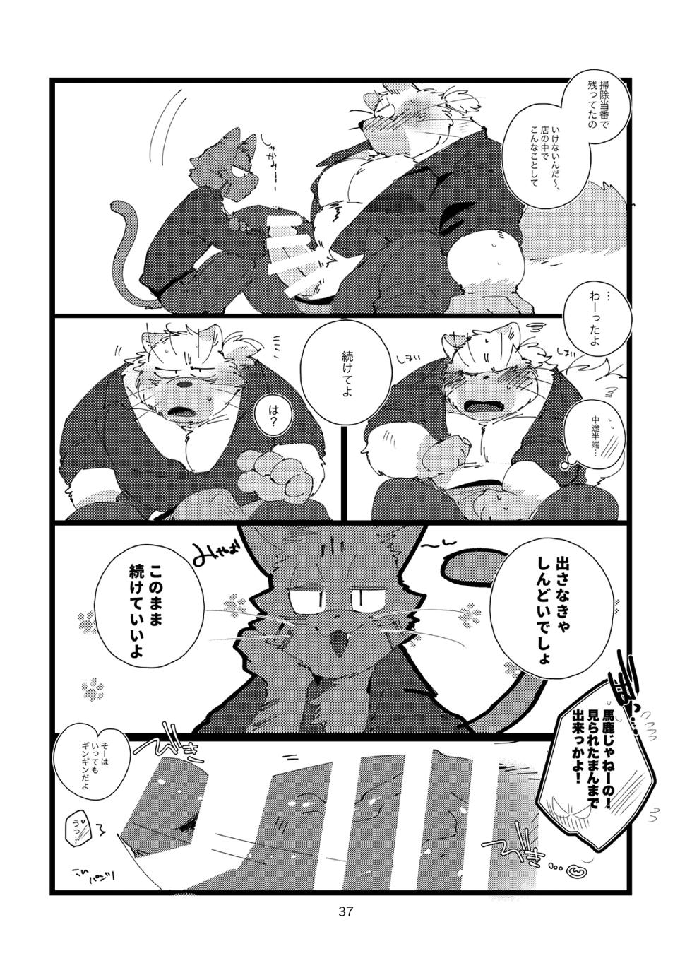 FANBOX COLLECTION Vol.3(DL) - Page 37