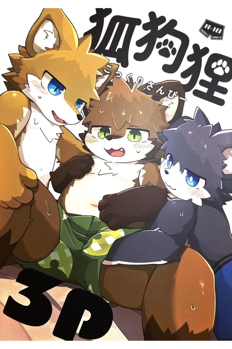 (Kemoket 15) [Tsukiriyomi (Tsukio)] 狐狗狸3P [Chinese] - Page 1