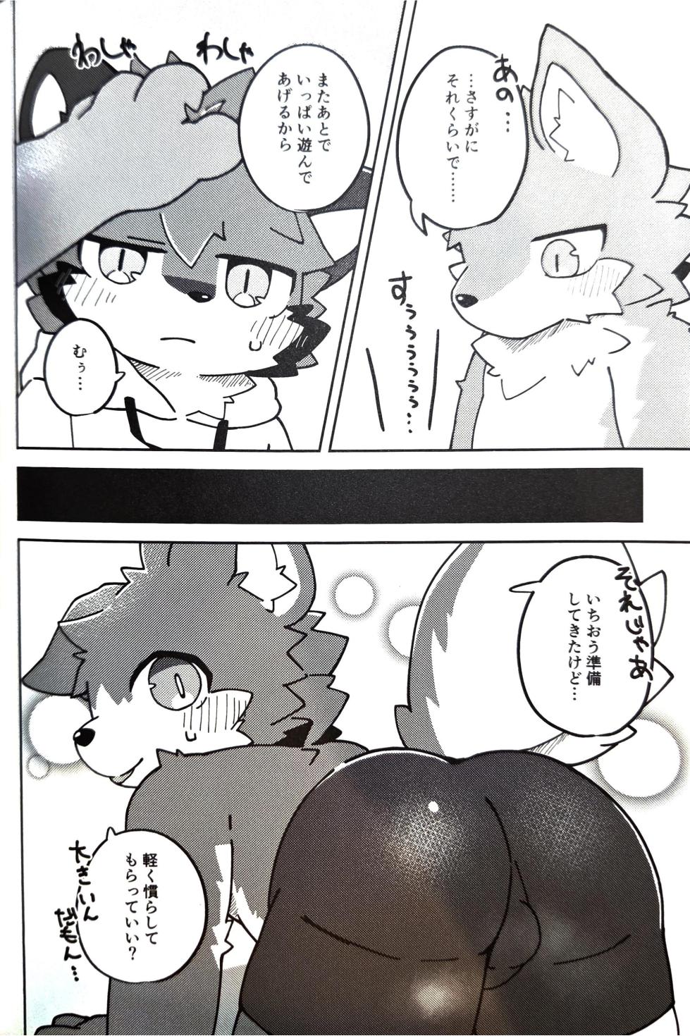 (Kemoket 15) [Tsukiriyomi (Tsukio)] 狐狗狸3P - Page 13