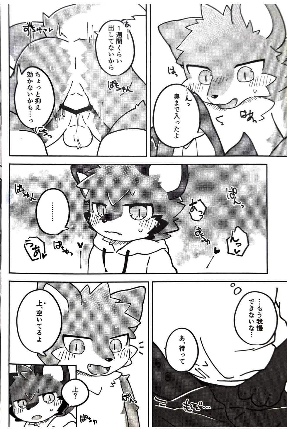 (Kemoket 15) [Tsukiriyomi (Tsukio)] 狐狗狸3P - Page 15