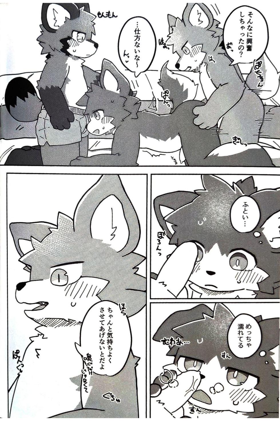 (Kemoket 15) [Tsukiriyomi (Tsukio)] 狐狗狸3P - Page 17
