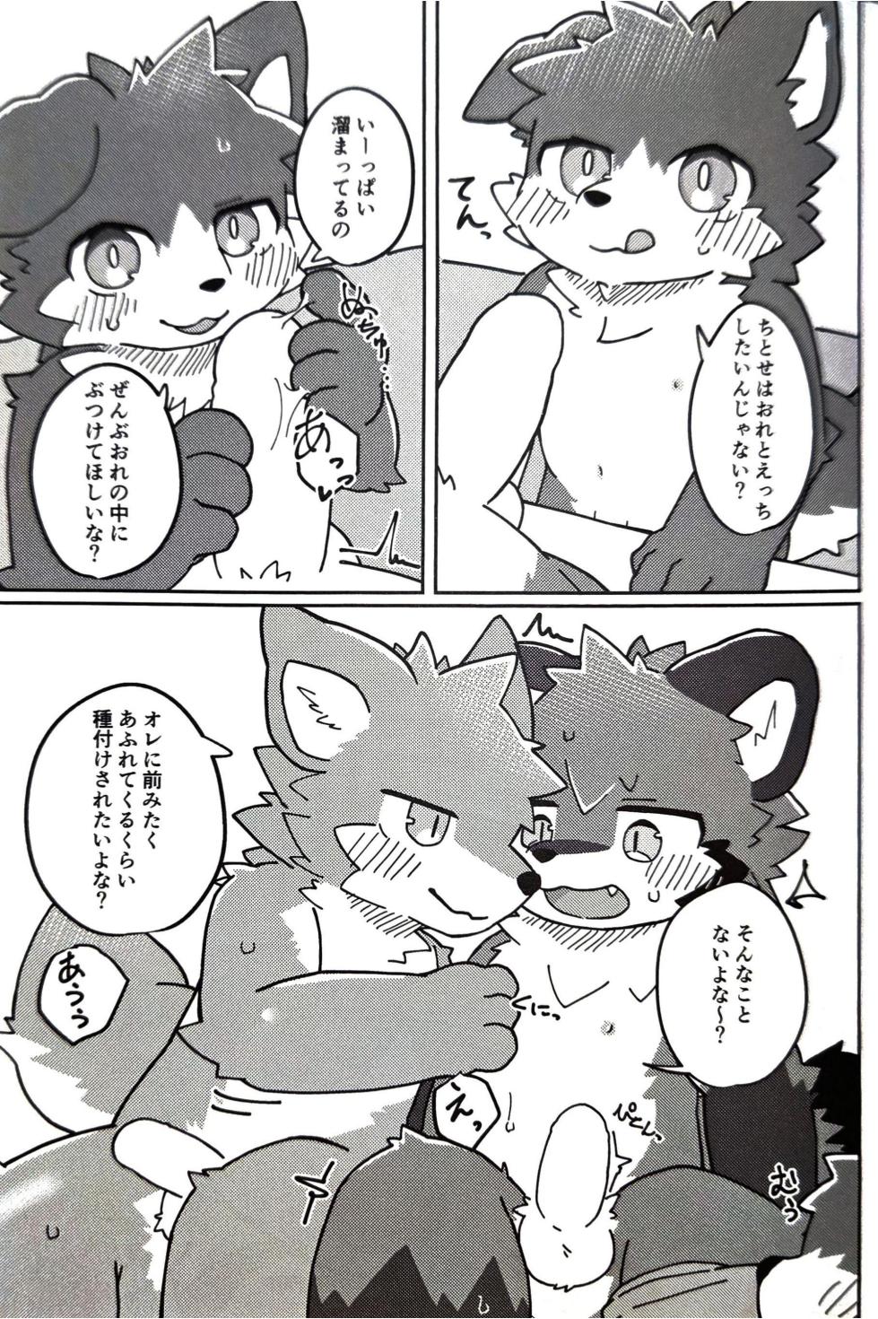 (Kemoket 15) [Tsukiriyomi (Tsukio)] 狐狗狸3P - Page 20