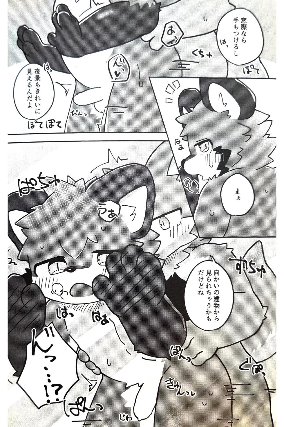 (Kemoket 15) [Tsukiriyomi (Tsukio)] 狐狗狸3P - Page 31