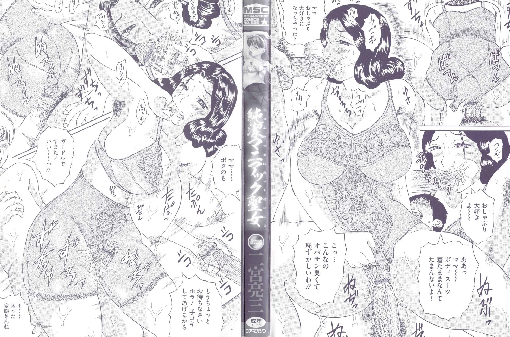Ninomiya Ryouzo - Junketsu Maniac Seijo CXX ESP - Page 3