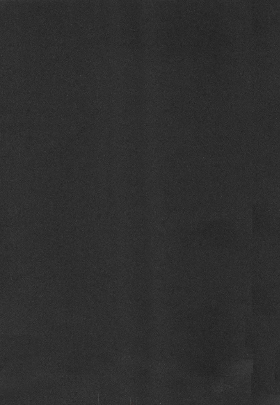 Ninomiya Ryouzo - Junketsu Maniac Seijo CXX ESP - Page 4